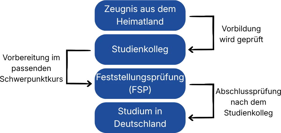 Der Weg zum Studium über das Studienkolleg