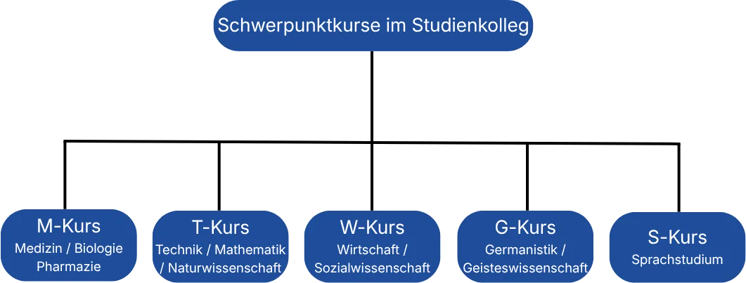 Schwerpunktkurse im Studienkolleg mit Zuordnung zu Fachrichtungen